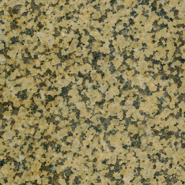 G703 Chrysanthemum Yellow Granite