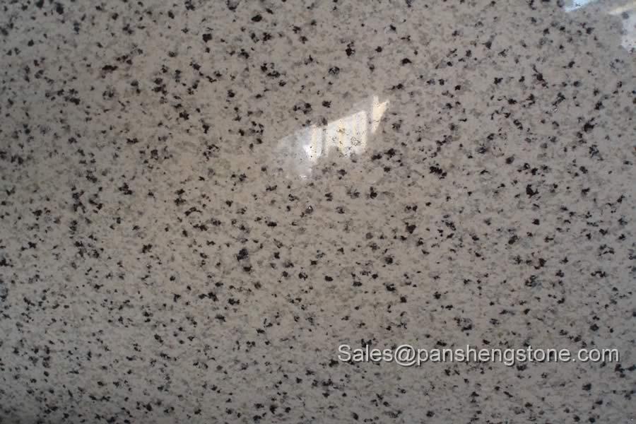 Mogolian white granite slab   Granite Slabs